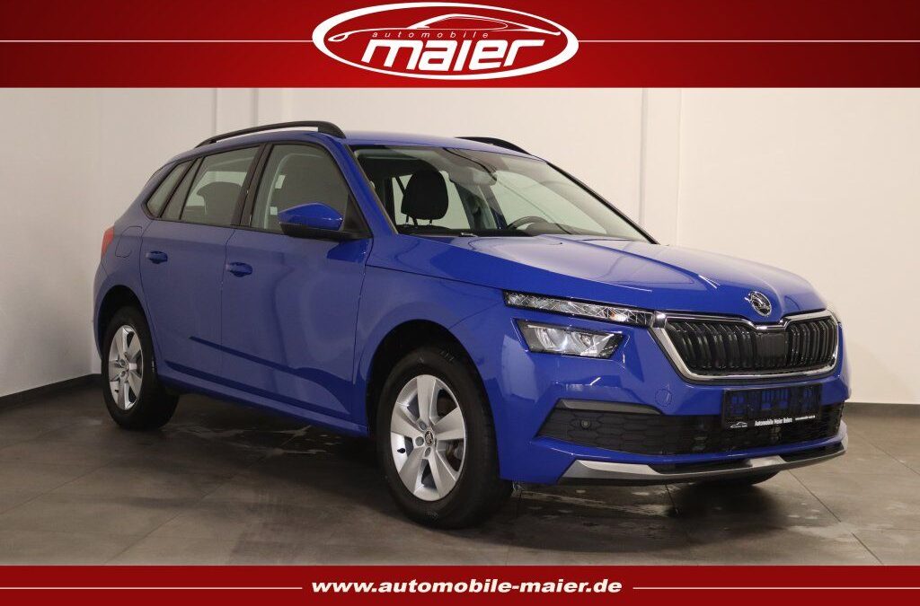 Skoda Kamiq 1.0 TGI Ambition-Tempo-LED-SHZ-PDC-DAB-