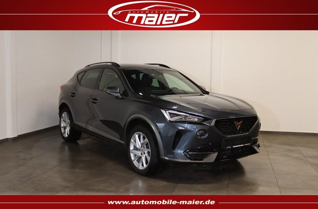 Cupra Formentor 2.0 TDI 4Drive Virt.-Navi-LED-SHZ-KAM-