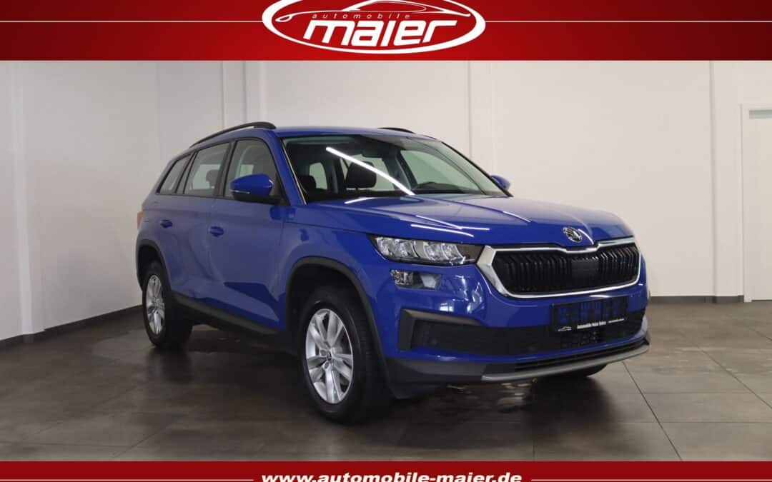 Skoda Kodiaq 2.0 TDI DSG Ambition-Kamera-ACC-LED-Apps-