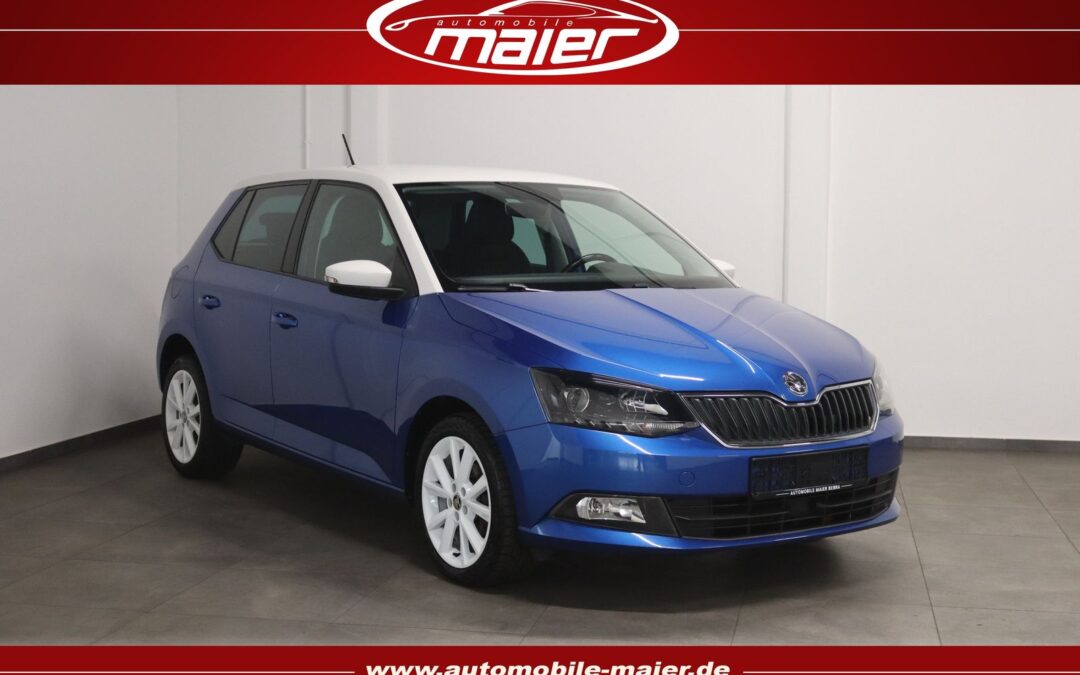 Skoda Fabia 1.2 TSI Tempomat-MirrorLink-SHZ-DAB-PDC