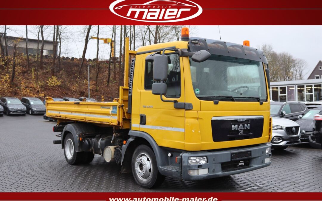 MAN TGL TGL 8.220 4×2 Meiller Kipper