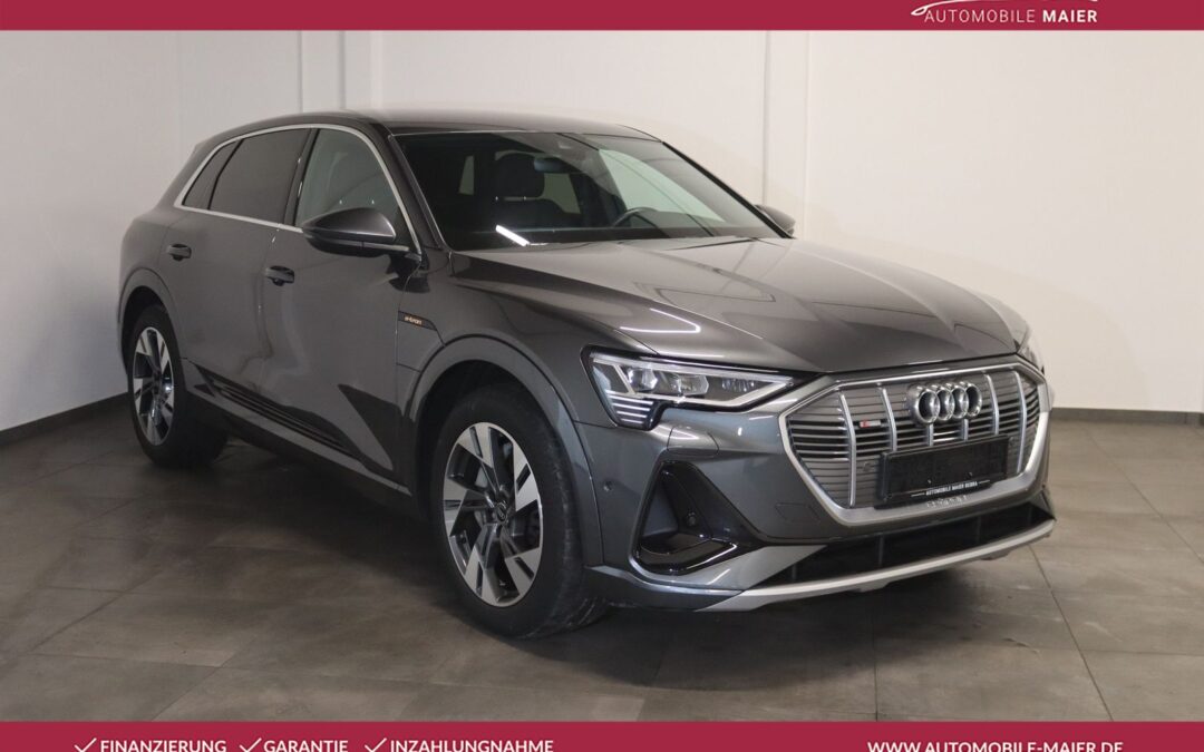 Audi e-tron 50 quattro S line-Virt.-Luft-KAM-LED-SHZ-