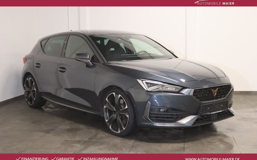 Cupra Leon 2.0 TSI DSG VZ-NAV-LED-KAMERA-BEATS