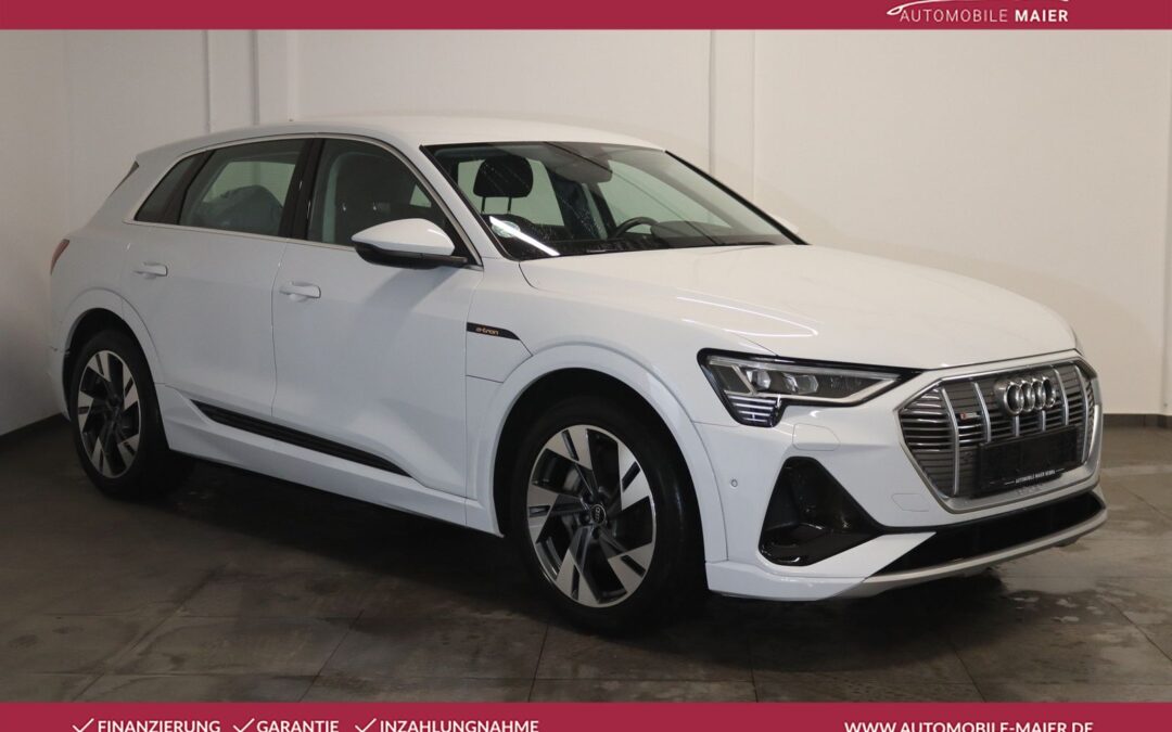 Audi e-tron 50 qu. S line-Virt.-Luft-Navi-LED-KAM-