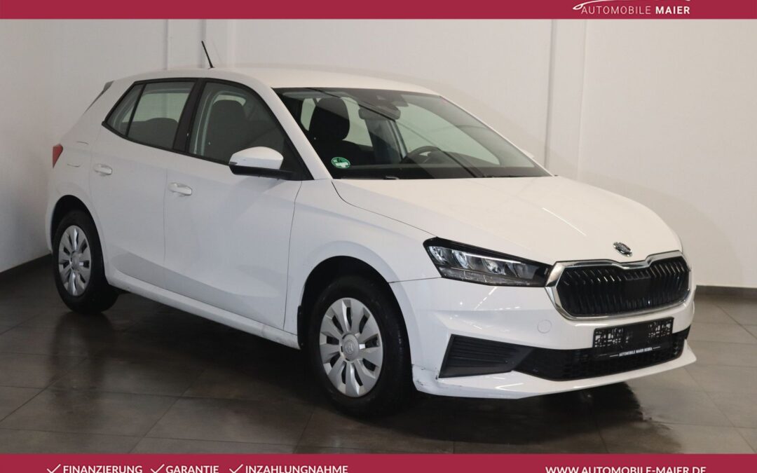 Skoda Fabia Active-LED-Klima-Limiter-Spurhalte-DAB-PDC