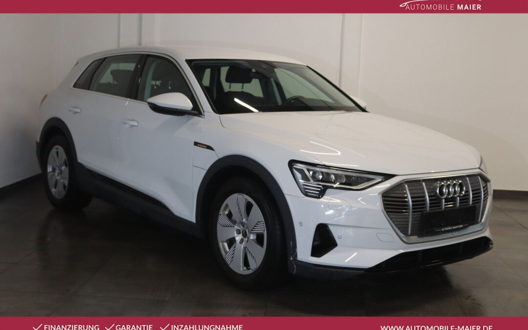 Audi e-tron 55 quattro-Virtual-Luft-NAV-LED-CCS-KESSY