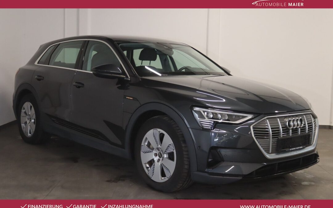 Audi e-tron 55 quattro Virtual-Navi-Temp-Luft-LED-CCS