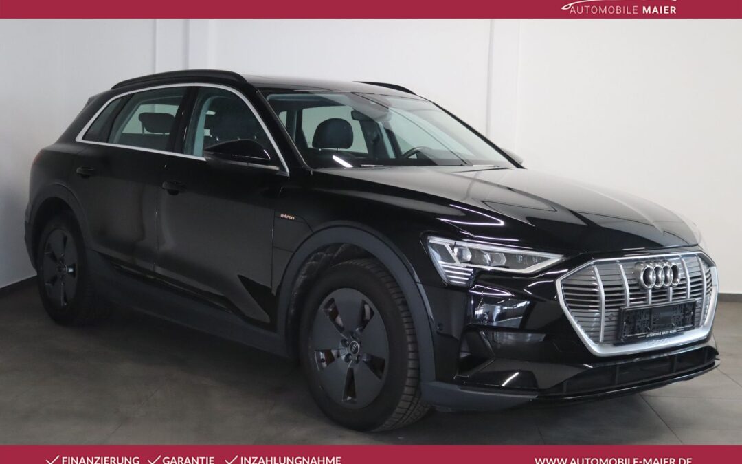 Audi e-tron 50 quattro-NAV-LED-PANO-LUFT-LEDER-KAMERA
