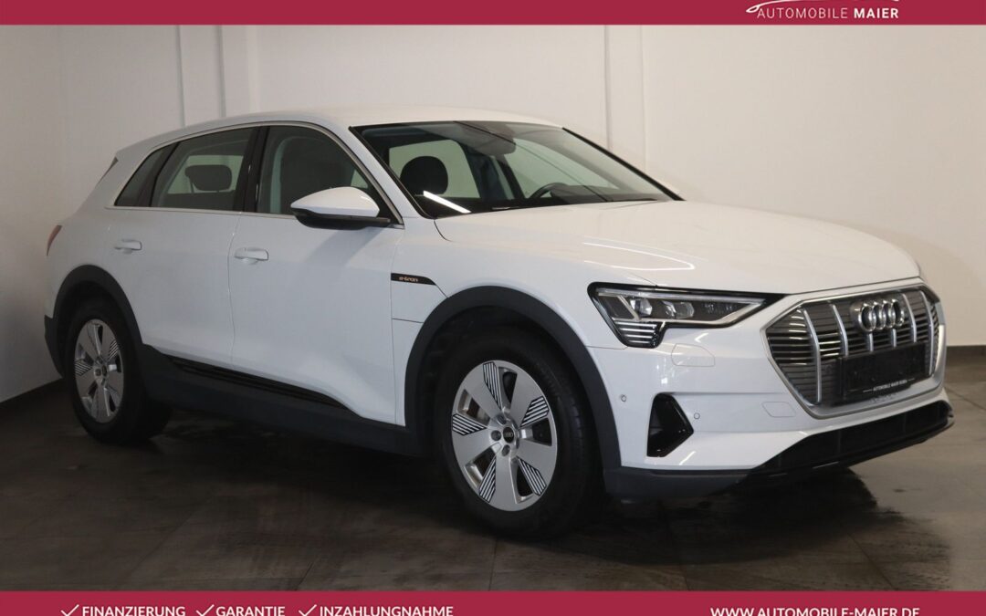 Audi e-tron 55 quattro-Virtual-Luft-NAV-LED-CCS-KESSY