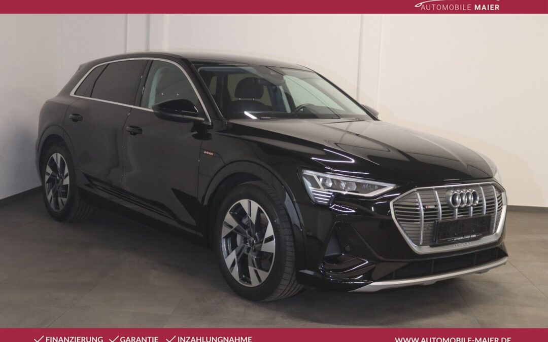 Audi e-tron 55 quattro S line-NAV-LED-KAMERA-SHZ-20-