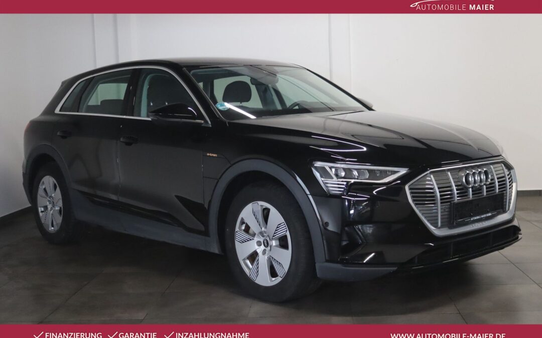 Audi e-tron 55 qu.-Virt.-360°-Luft-Tempo-LED-SHZ-NAV-