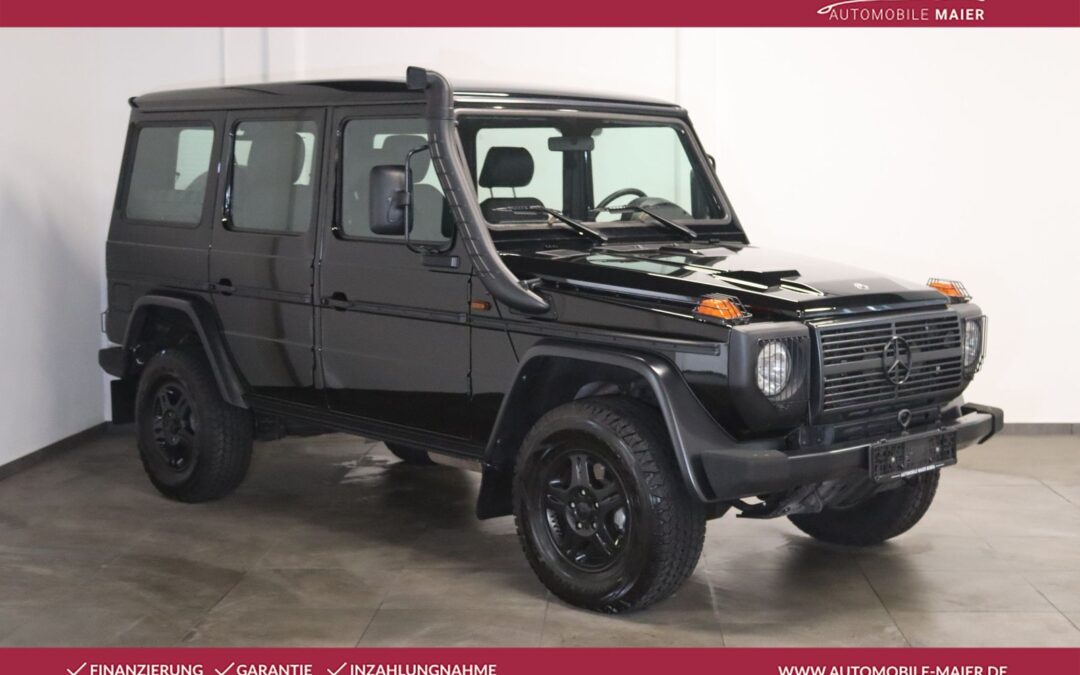 Mercedes-Benz G 300 CDI Automatik Unikat 4 Si.-LEDER-AHK-