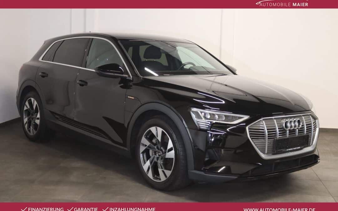Audi e-tron 55 quattro-NAVI-LUFT-ACC-LED-B&O-SHZ-