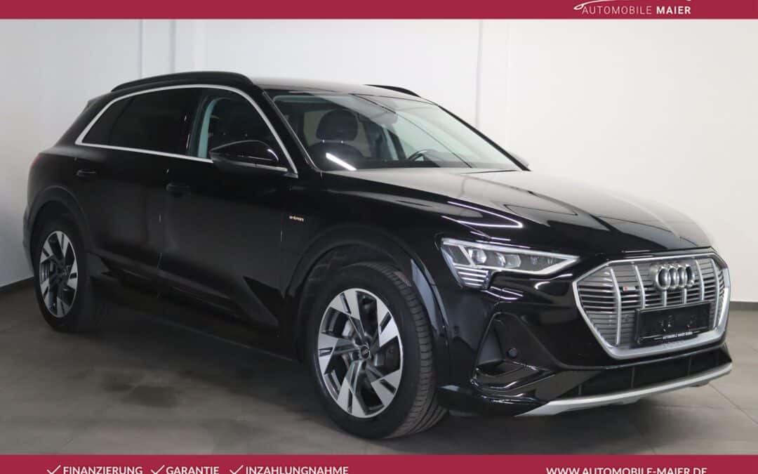 Audi e-tron 50 qu.- S line Virt.-Luft-LED-KAM-AHK-SHZ