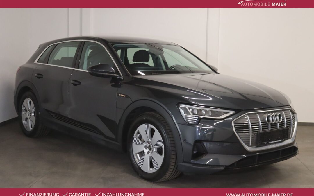 Audi e-tron 55 quattro-Virtual-Navi-Temp-Luft-LED-CCS