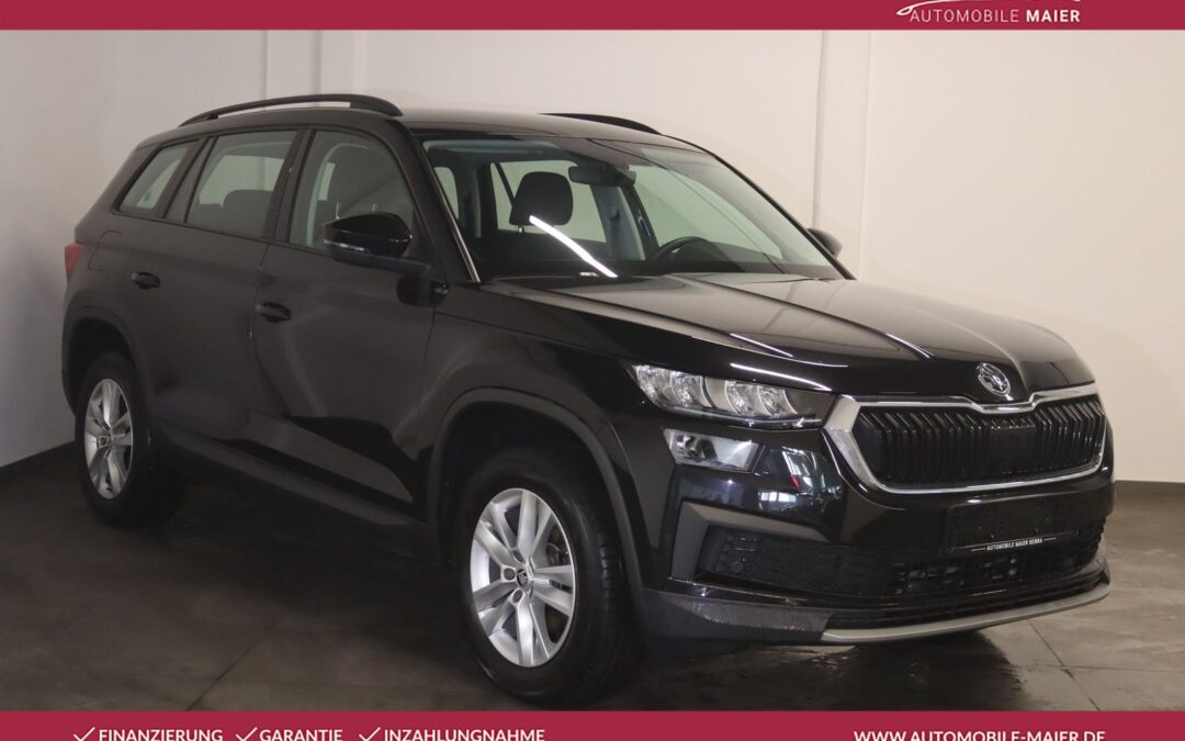 Skoda Kodiaq 1.5 TSI Ambition-Kamera-Temp-Apps-LED-AHK