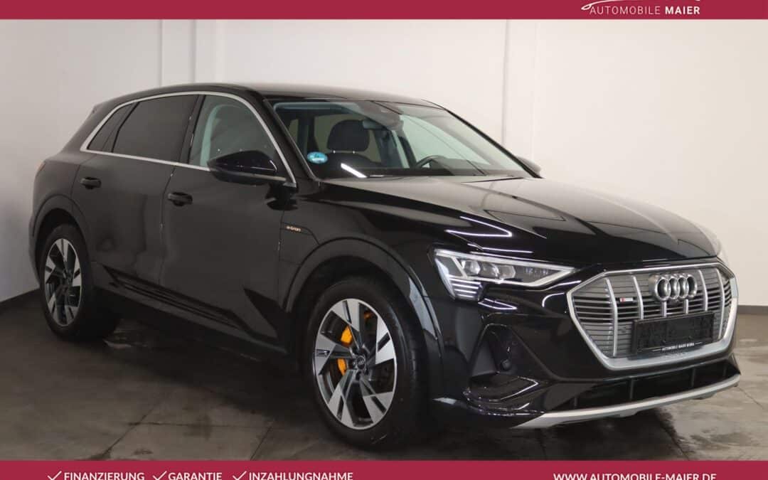 Audi e-tron 50 qu. S line-360°-Virtual-Navi-LED-20-