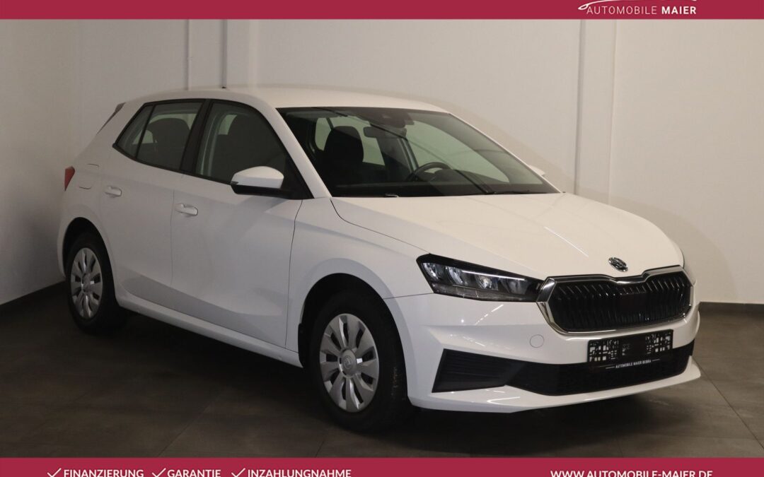 Skoda Fabia Ambition-LED-Tempomat-Klima-Apps-MFL-DAB-
