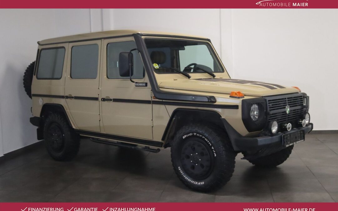 Mercedes-Benz G 290 Puch lang Automatik-AHK-SHZ-STDHZ-
