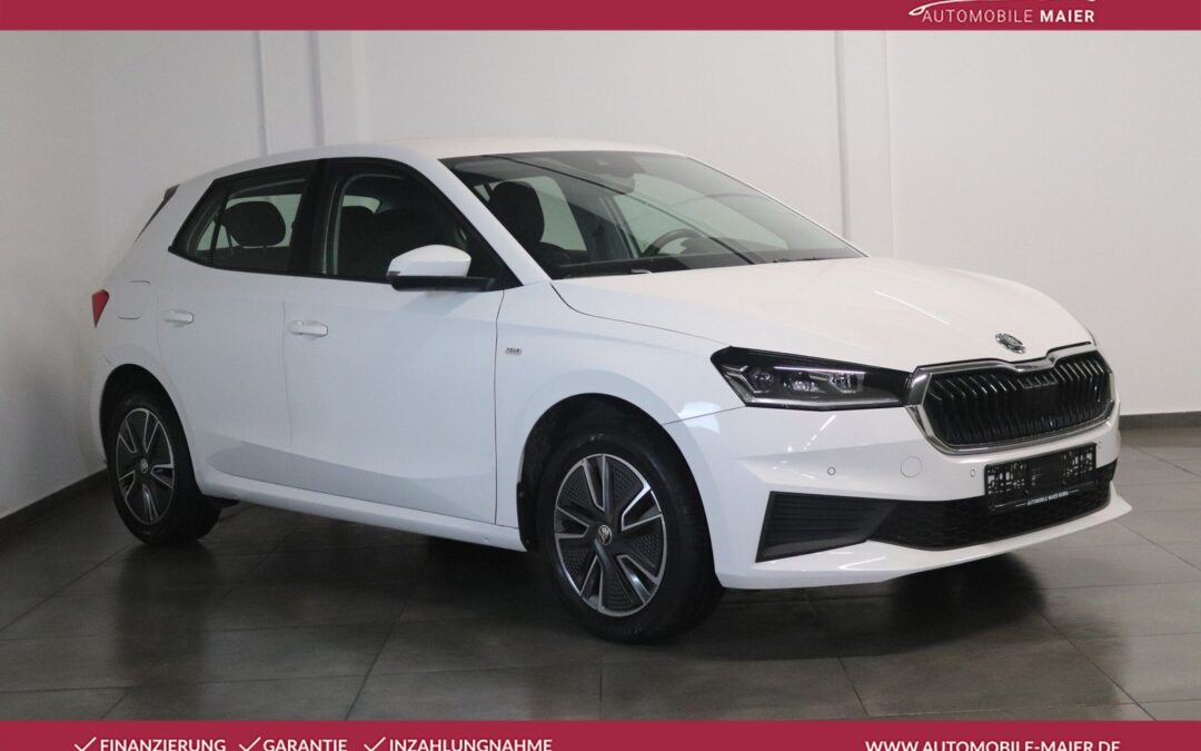 Skoda Fabia Tour-Virtual-Navi-LED-VIRT.-SHZ-PDC-TEMP.-